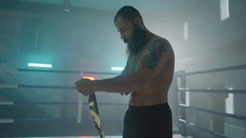 Boxer 動画素材 144613581