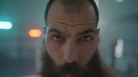 Boxer Vídeos de archivo 144613874