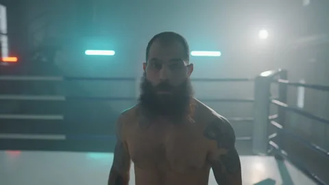 Boxer Stock Footage 144614731