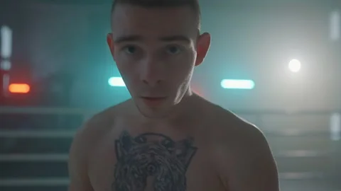 Boxer Stock Footage 144615518