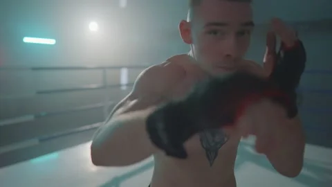 Boxer 動画素材 144615615