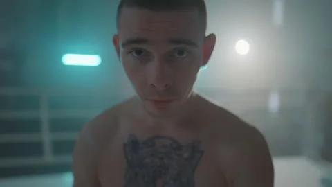 Boxer Stock Footage 144615943