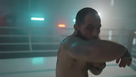 Boxer Stock Footage 144617254