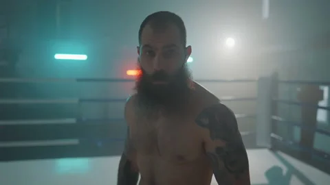 Boxer Stock Footage 144617675