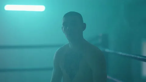 Boxer Stock Footage 144617958