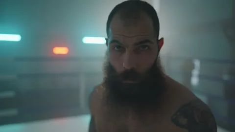 Boxer Stock Footage 144618055