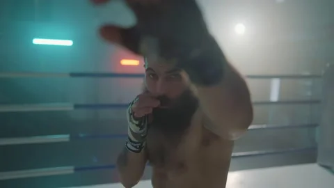 Boxer Stock-Footage 144618180