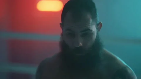 Boxer Vídeos de archivo 144621684