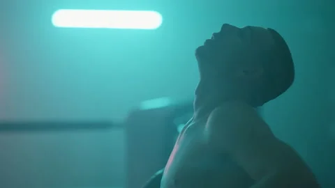 Boxer Stockbeeldmateriaal 144622423