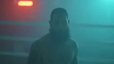 Boxer Stockbeeldmateriaal 144623704