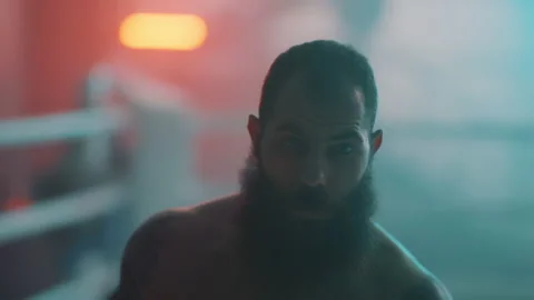 Boxer Stock Footage 144624365