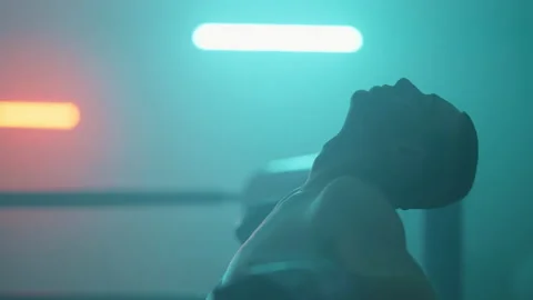 Boxer 動画素材 144624815