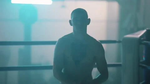 Boxer Stock Footage 144626589