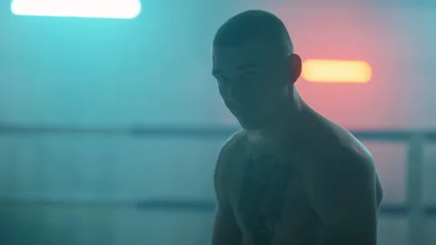 Boxer Stock Footage 144626667