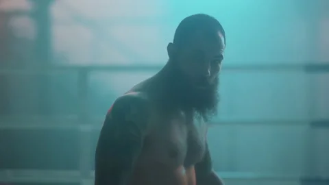 Boxer Stock Footage 144627026