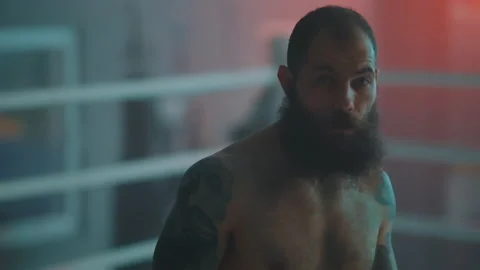 Boxer Stock-Footage 144627078