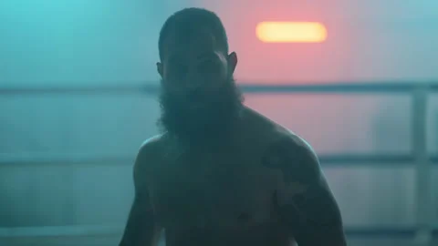 Boxer Stock Footage 144627092