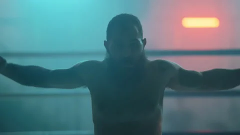 Boxer 動画素材 144631107