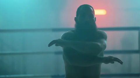 Boxer Stock Footage 144631147