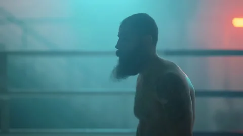 Boxer Stock Footage 144631357