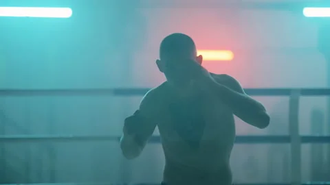 Boxer 動画素材 144634002