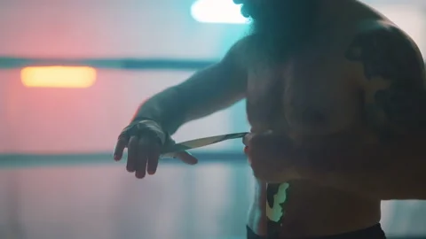 Boxer Vídeos de archivo 144635297