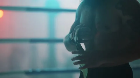 Boxer Stock Footage 144636607