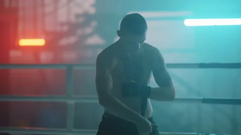 Boxer Stock Footage 144637443