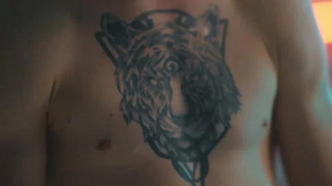 Boxer Vídeos de archivo 144642214