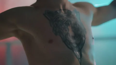 Boxer Stock Footage 144642822