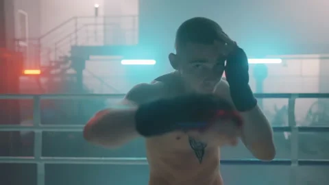 Boxer Stock-Footage 144643804