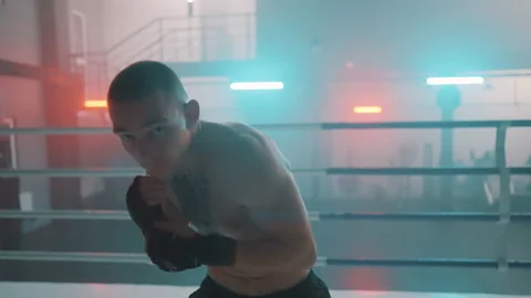 Boxer Stock Footage 144644272