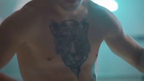 Boxer Stock Footage 144644454