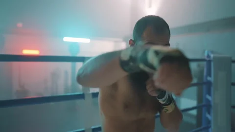 Boxer Stock Footage 144645409