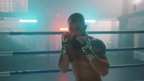 Boxer Vídeos de archivo 144645659