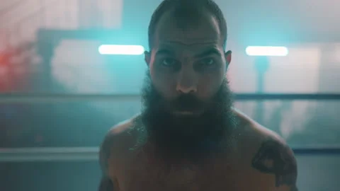 Boxer Stock Footage 144646085