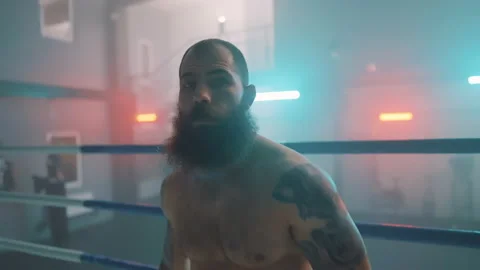 Boxer Stock Footage 144646416