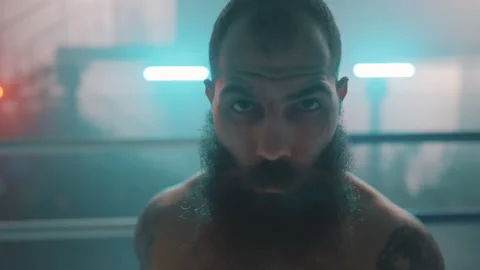 Boxer Stock Footage 144646919