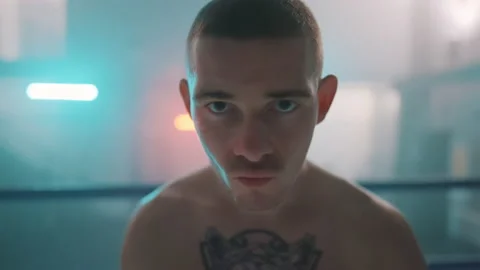 Boxer Stock Footage 144647727