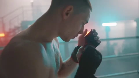 Boxer Stock Footage 144647748