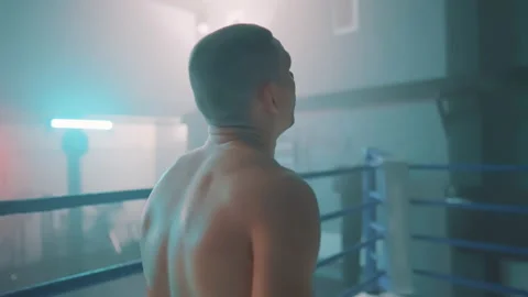 Boxer Видео 144647800