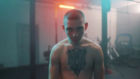 Boxer Stock Footage 144647947