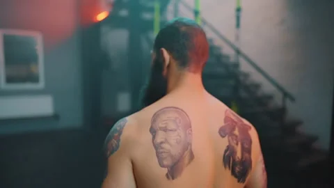 Boxer Stock Footage 144649189