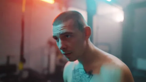 Boxer Stock Footage 144649475