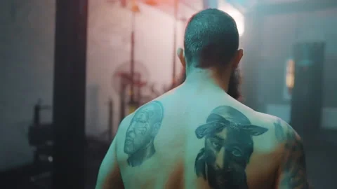 Boxer Stock Footage 144649604