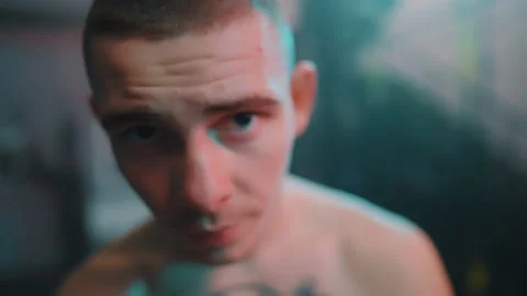 Boxer Stock Footage 144650098