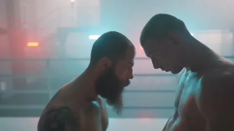 Boxer Stock-Footage 144650198