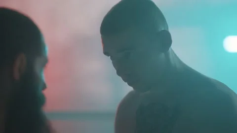 Boxer Stock Footage 144651508