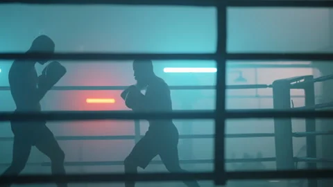 Boxer Stock Footage 144653341