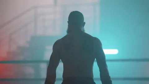 Boxer Stock Footage 144654885